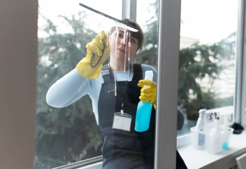 Nettoyage de vitres intérieures et extérieures à Trogues
